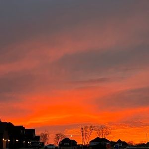 Meet your Posher, Maddy